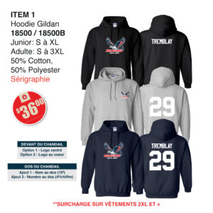 Item 01 Balbuzard Hoodie Gildan 18500 18500B 2025